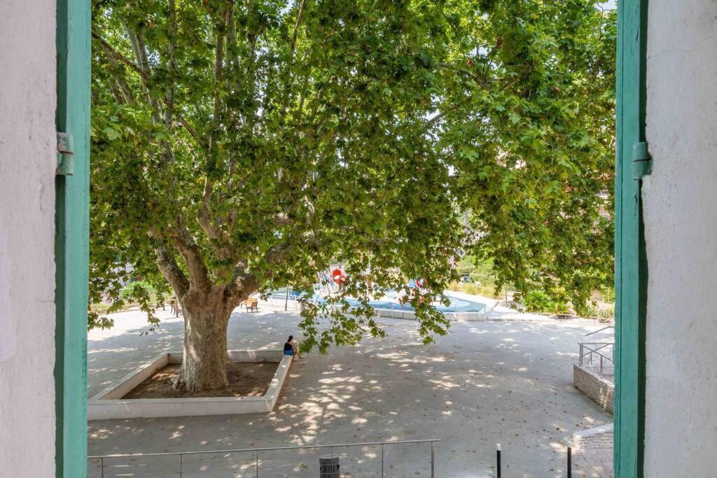 Le Vallombrosa T2 Cannes Luaran gambar