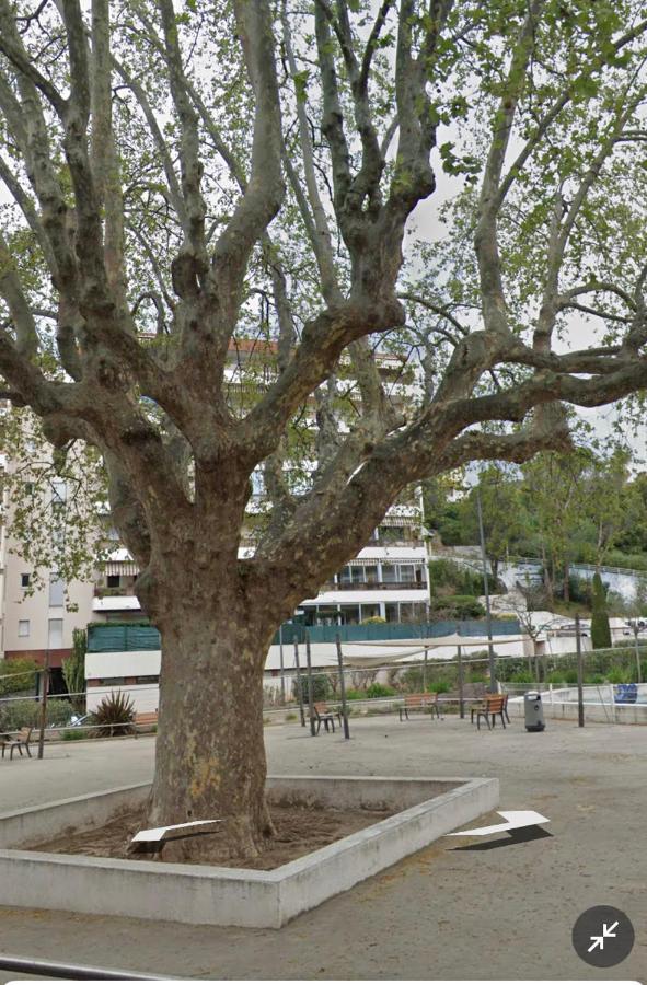 Le Vallombrosa T2 Cannes Luaran gambar